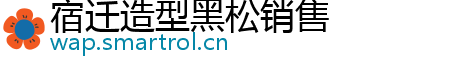 宿迁造型黑松销售